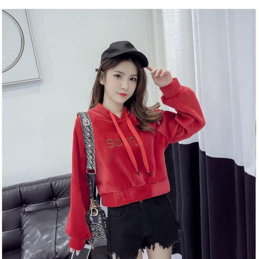 Gold Velvet Short Sweater Thickened Autumn and Winter All-match Blouse Embroidery Hooded Student Sweater Women