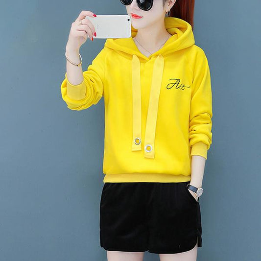 Autumn and Winter Hooded Embroidered Sweater Thickened Double-faced Fleece Jacket Women's Pullover Long-sleeved Top
