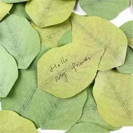 Cartoon Shape Creative Post-it Notes Office Learning Notes