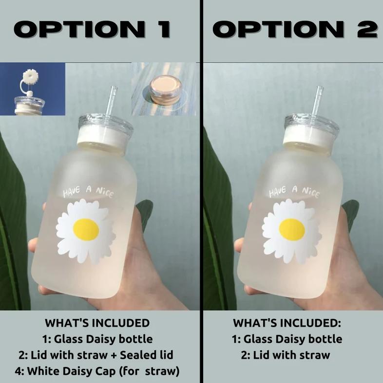 2 Lids Cute 500ml Daisy Clear / Frosted Borosilicate Glass Water Bottle | BPA FREE | High Quality Food Grade Material | Gifts for Her
