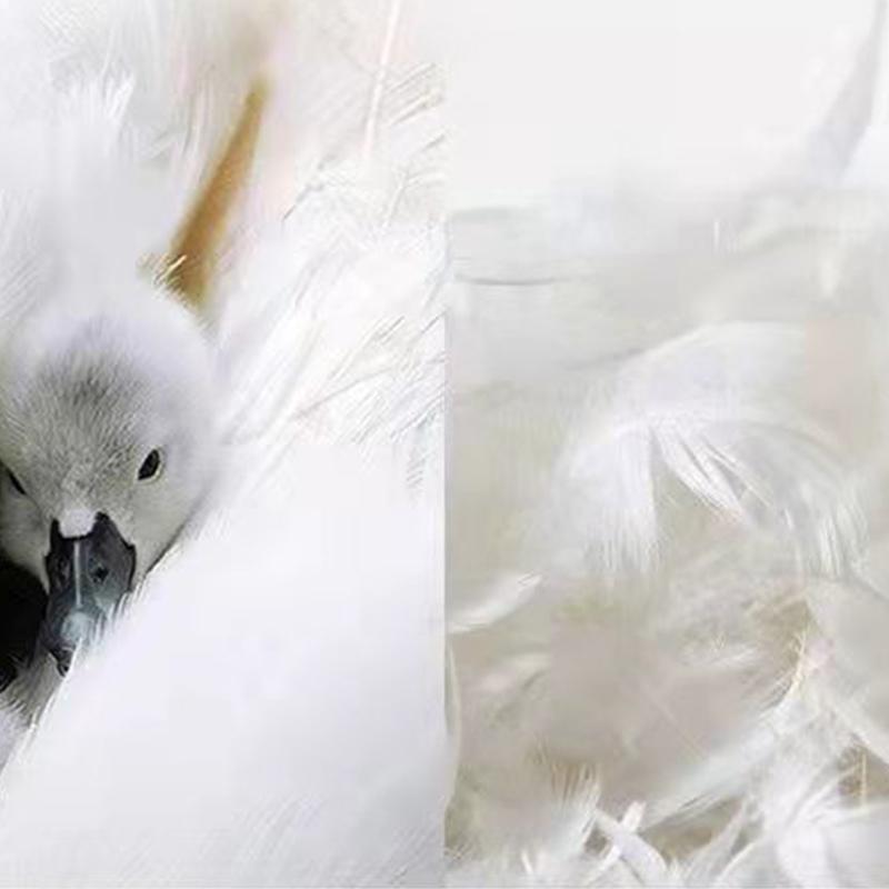 Down Padded Jacket Women Winter Bunny Stand-up Collar Loose and Thin Thick Padded Jacket