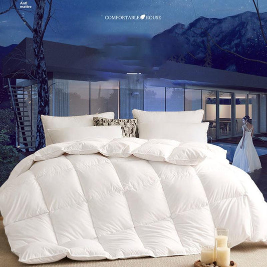 Five-star Hotel Special Down Quilt Winter Thickening Home White Goose Down Spring and Autumn Quilt for Students