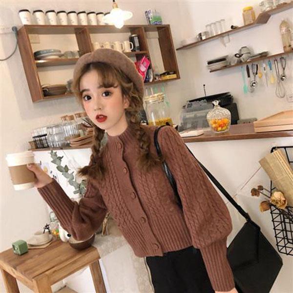 Autumn and Winter Casual Sweater Simple Slim Jacket Fashion Short Girl Top