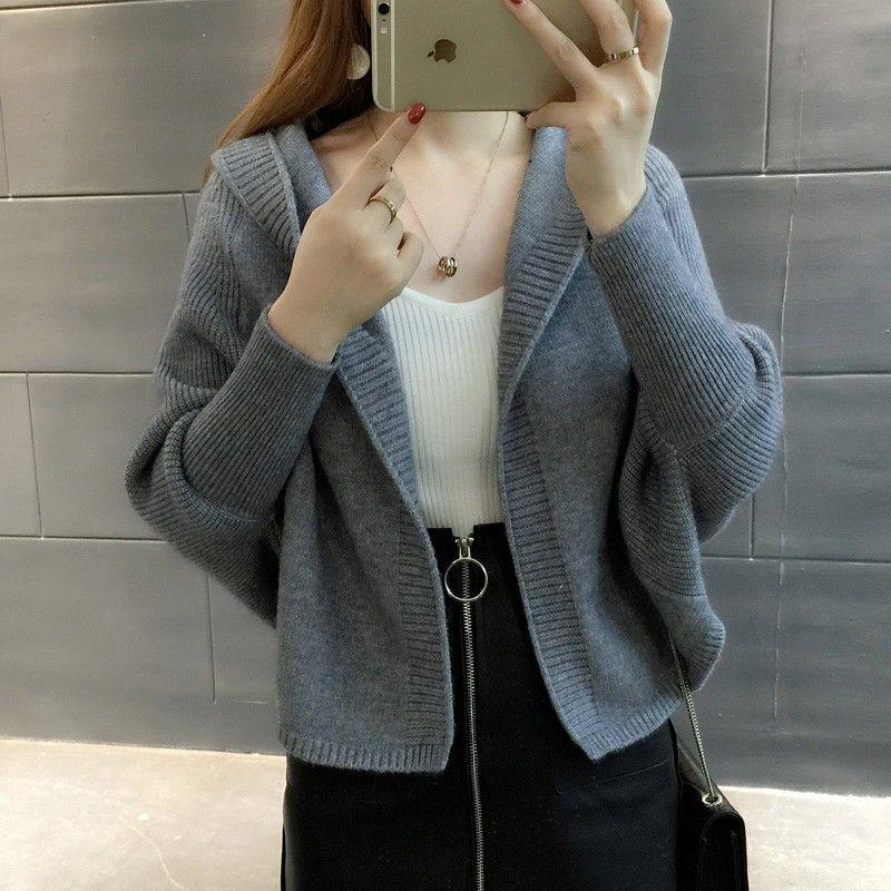 Hooded Sweater Winter Thickening Long-sleeved Loose Casual Fashion Bat Shirt Blouse