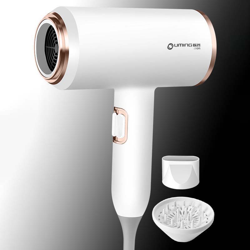 Ultra-quiet and Wind Power Negative Ion Hair Dryer Household High-power Hair Care Styling Hair Dryer