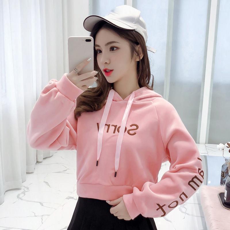 Gold Velvet Short Sweater Thickened Autumn and Winter All-match Blouse Embroidery Hooded Student Sweater Women