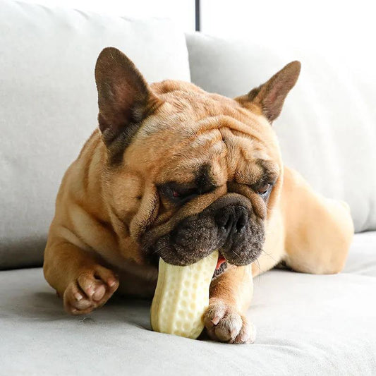 Dog Toys Bite Resistant Molar Teeth Cleaning Vocal Peanuts Medium-sized Dogs Anti-boring Artifacts for Large Dogs Funny Dog Balls Chewing Toys