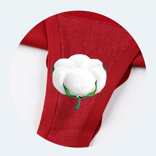 Ice Silk Seamless Thong Feminine Solid Color Low Waist Panties One Piece