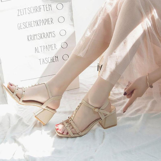 Women's Summer Sandals Fashion All-match Women's Shoes Rivet Chunky Heels with A Word Strap High Heels