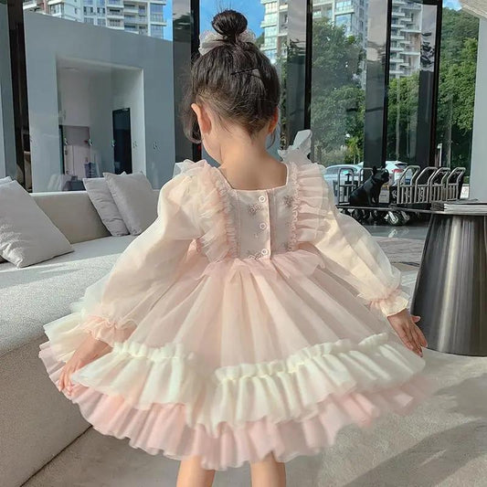 Girls Embroidery Dress Children's Cute Puff Skirt Mesh Princess Dress Baby Girl Spring Dress Long Sleeve Lace Pink Dress