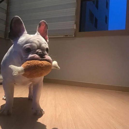 Double Bones Chicken Legs Cotton Toys Vocal Pet Dog Cat Toy Supplies Toy Dog Molar Puppies Medium Large Dog Bite Resistant Chewing Play Fun Toys