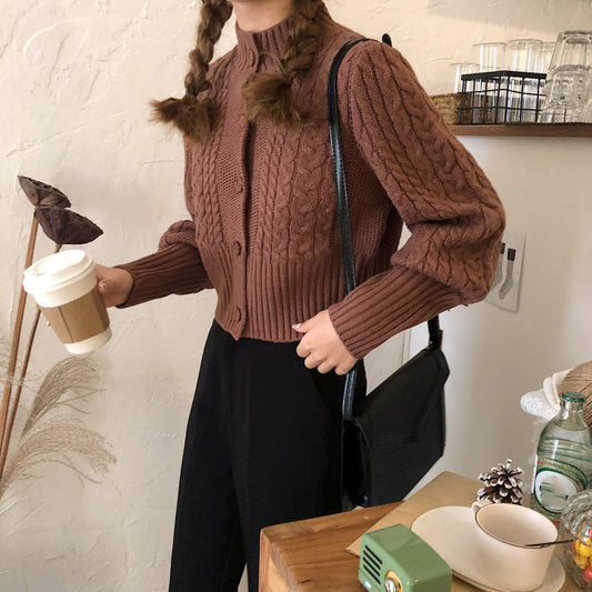 Spring and Autumn Slim Twist Jacket Retro Short Knitted Sweater Student Women Cardigan