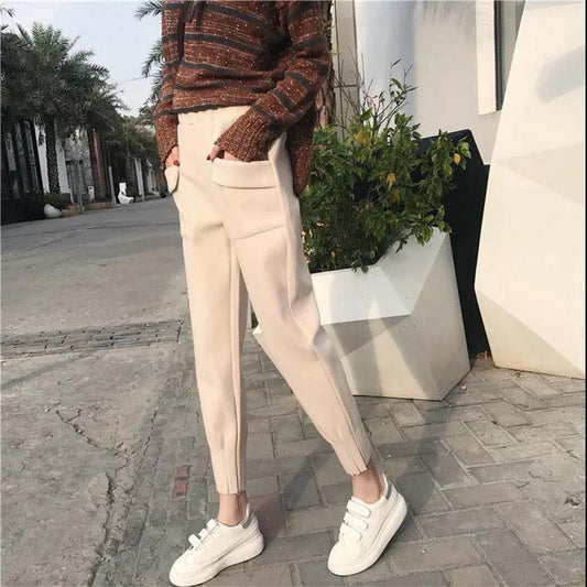 Harem Pants Women's Autumn and Winter New Styles Plus Velvet Thick Woolen Trousers Beam Pants Radish Pants Loose and Thin Net Red Granny Pants