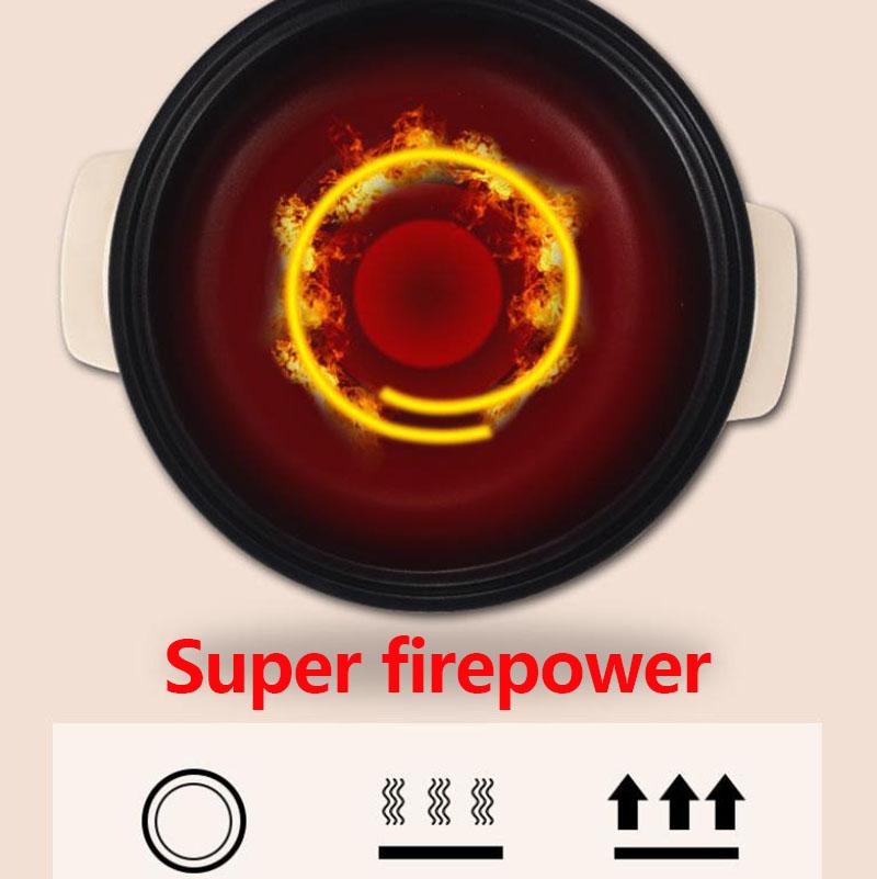 500W/1000W Electric Heat Pot 28cm Non-stick Cookware Boiling Soup Pot Frying Pan with 2 Steamers for Family