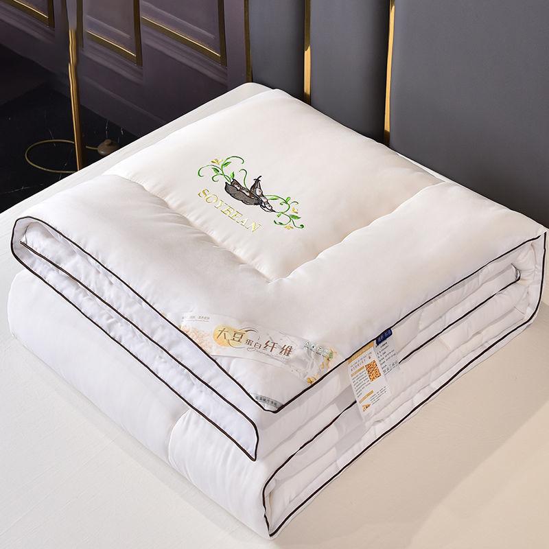 Home Four Seasons Student Futon Spring and Autumn Quilt Bedding Summer Cool Air Conditioning Quilt Thick Warm Quilt