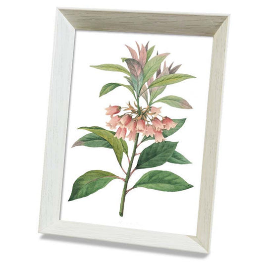 Framed Cross Stitch DIY Hand-woven Thread Embroidery Simple Modern Flower Simple Embroidery Living Room Bedroom Decoration