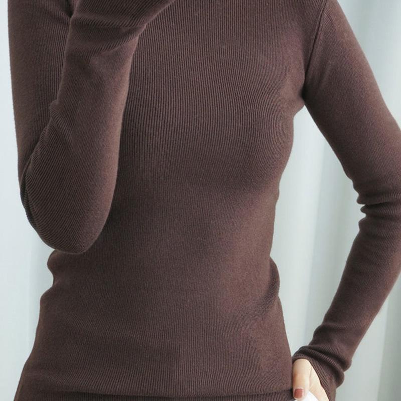 Autumn and Winter New Pile High-neck Woolen Ladies Slim Tight-fitting Long-sleeved Sweater Base Sweater