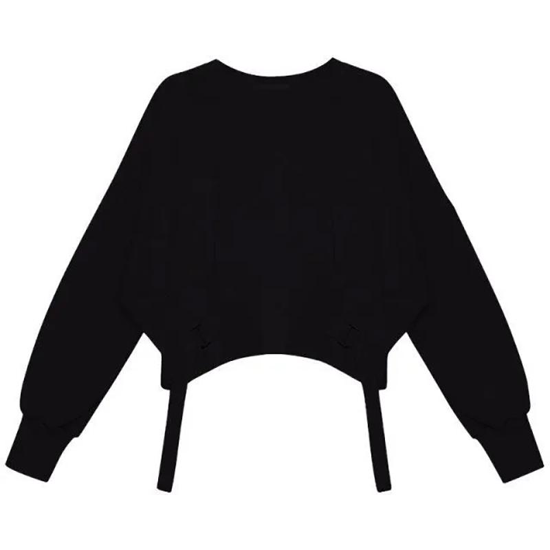 Spring Autumn Hoodies Pullover Sweatshirt Purple Oversized Loose Cropped Tops Fashion Elegant Women Pullovers Long Sleeve Sports Shirt
