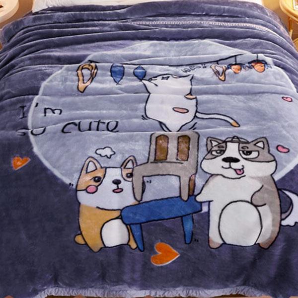 Warm Winter Double Blanket Bedding Thickened Sofa Chair Blanket