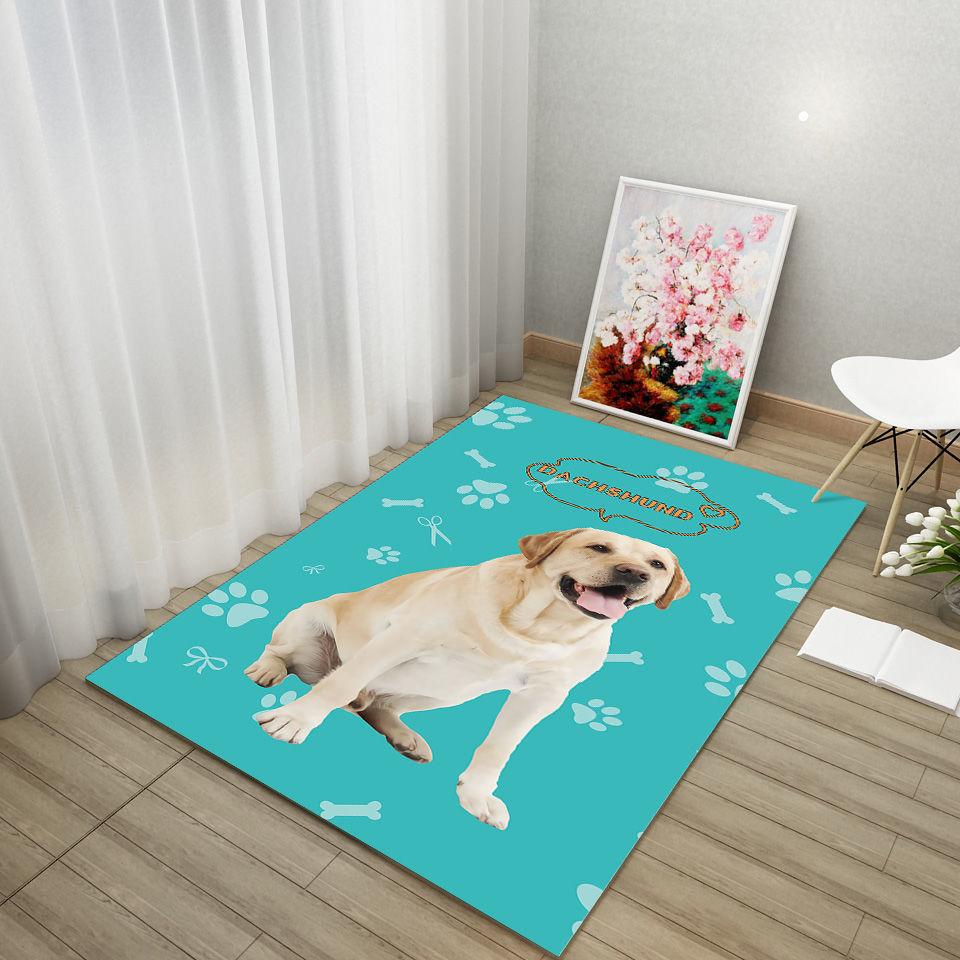 Pet Cat Dog Cat Special Supplies Mat Spring and Summer Autumn and Winter Four Seasons Universal Bite Carpet Floor Mat Sleep