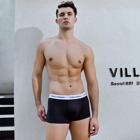 4 Pieces Men's Underwear Modal Boxer Solid Color Ice Silk Sports Comfortable Boxer Briefs Gift Box Packaging Mid Waist Underpants Breathable Panties