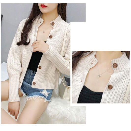 Autumn and Winter Casual Sweater Simple Slim Jacket Fashion Short Girl Top