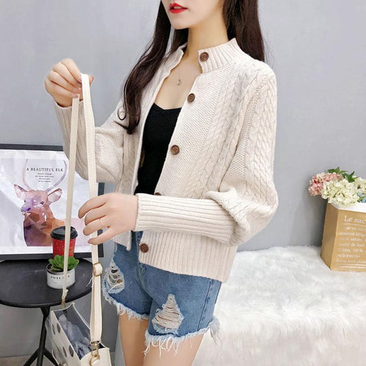 Autumn and Winter Casual Sweater Simple Slim Jacket Fashion Short Girl Top