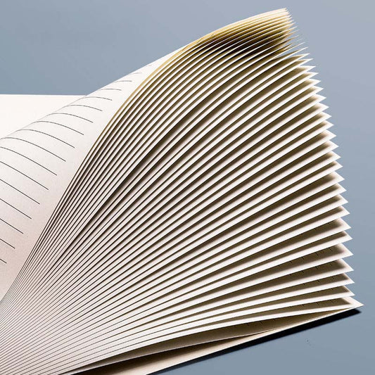 5 Simple Solid Color Student A5 Notepads and B5 Diary