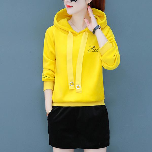 Autumn and Winter Hooded Embroidered Sweater Thickened Double-faced Fleece Jacket Women's Pullover Long-sleeved Top