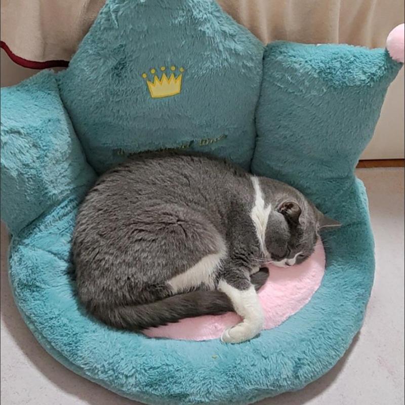 Slope Non-slip Design Thick Plush Cushion Adult Sofa Tatami Pet Bed Soft Anti-static Home Bedroom Balcony Living Room