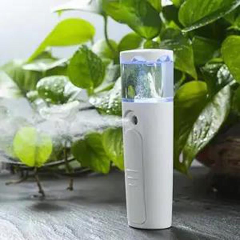 Nano Spray Hydrating Instrument Charging Treasure Dual-purpose Portable Facial Humidification Beauty