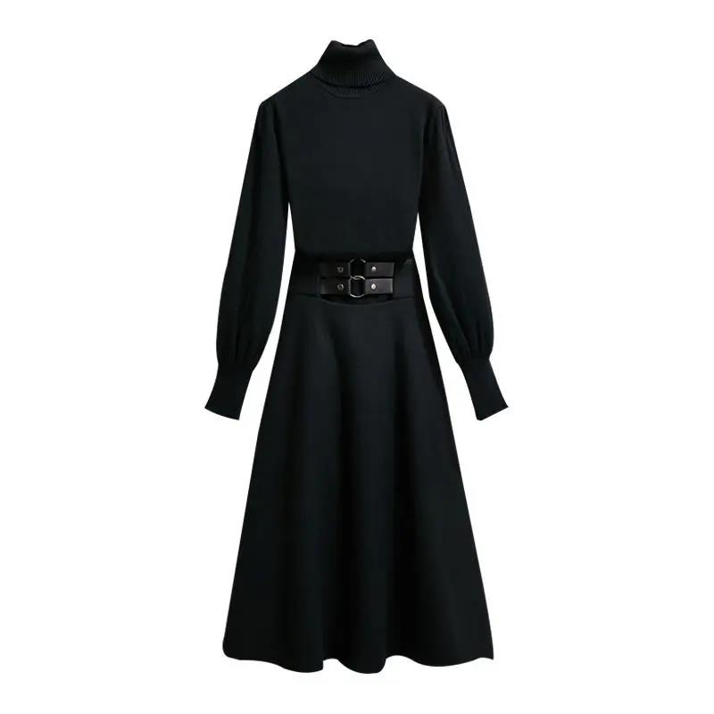 Set Autumn Winter Turtleneck Sweater Knit Sweater College Style Dress Two-piece Suit Skirt Women