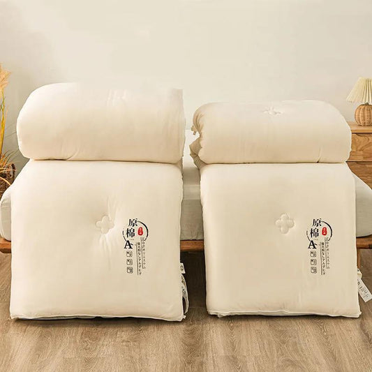 Skin-friendly Class A Antibacterial Soy Quilt Four Seasons Single Double Winter Quilt Core Spring and Autumn Was Taken By The Summer Dormitory
