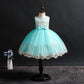 Girls' Costumes Children's Dresse Korean Dresses Flower Girls Tutu Skirts Mesh Princess Dresses