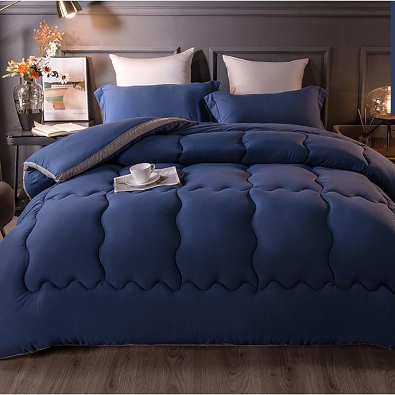 Student Dormitory Winter Quilt Spring and Autumn Quilt Core Four Seasons Universal Household Quilt Air-conditioning Quilt