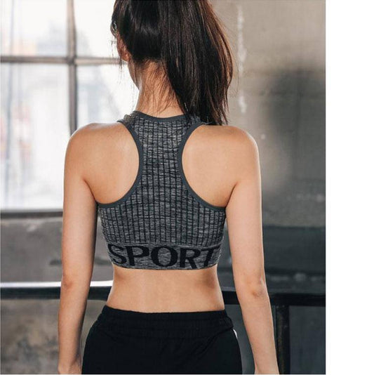 Cotton Sports Bra High Breathable Top Fitness Women Padded for Jogging Yoga Gym Seamless Crop Bra