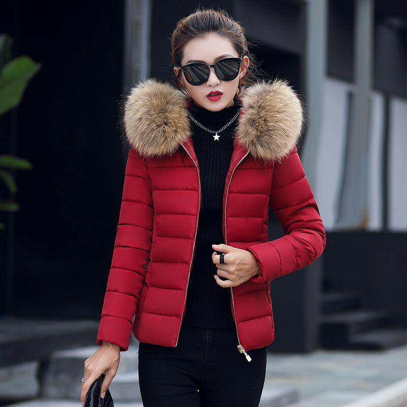 Fashion Fur Coat Winter Women Down Cotton Padded Jacket Coat Female Thick Long Down Parkas Outwear