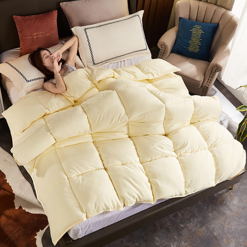 Winter Thick Warm Down Quilt Household Single Double White Goose Down Quilt Student Dormitory Four Seasons Universal Quilt