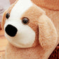 Winter Cartoon Cute Cotton Slippers Home Bag with Warmth Couple with Heel Home Cotton Slippers Soft and Comfortable