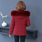 Down Padded Jacket Slim Slimming Short Padded Jacket Women Middle-aged and Elderly Oversized Padded Jacket