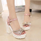 Good Quality Summer Rhinestone Fish Mouth Shoes Platform High Heel Women's Shoes Buckle Chunky Heel Sandals