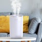 3000ml Double Nozzle Indoor Air Humidifier USB Electric Sprayer Mute Aroma Diffuser Night Light 24h