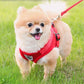 Vest-style Dog Leash Small Dog Pet Chest Harness Teddy Pomeranian Out Walking Dog Rope Dog Leash