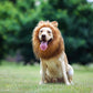 Realistic and Interesting Dog Lion Mane Dog Wigs Suitable for Medium and Large Dogs Lion Mane Wigs