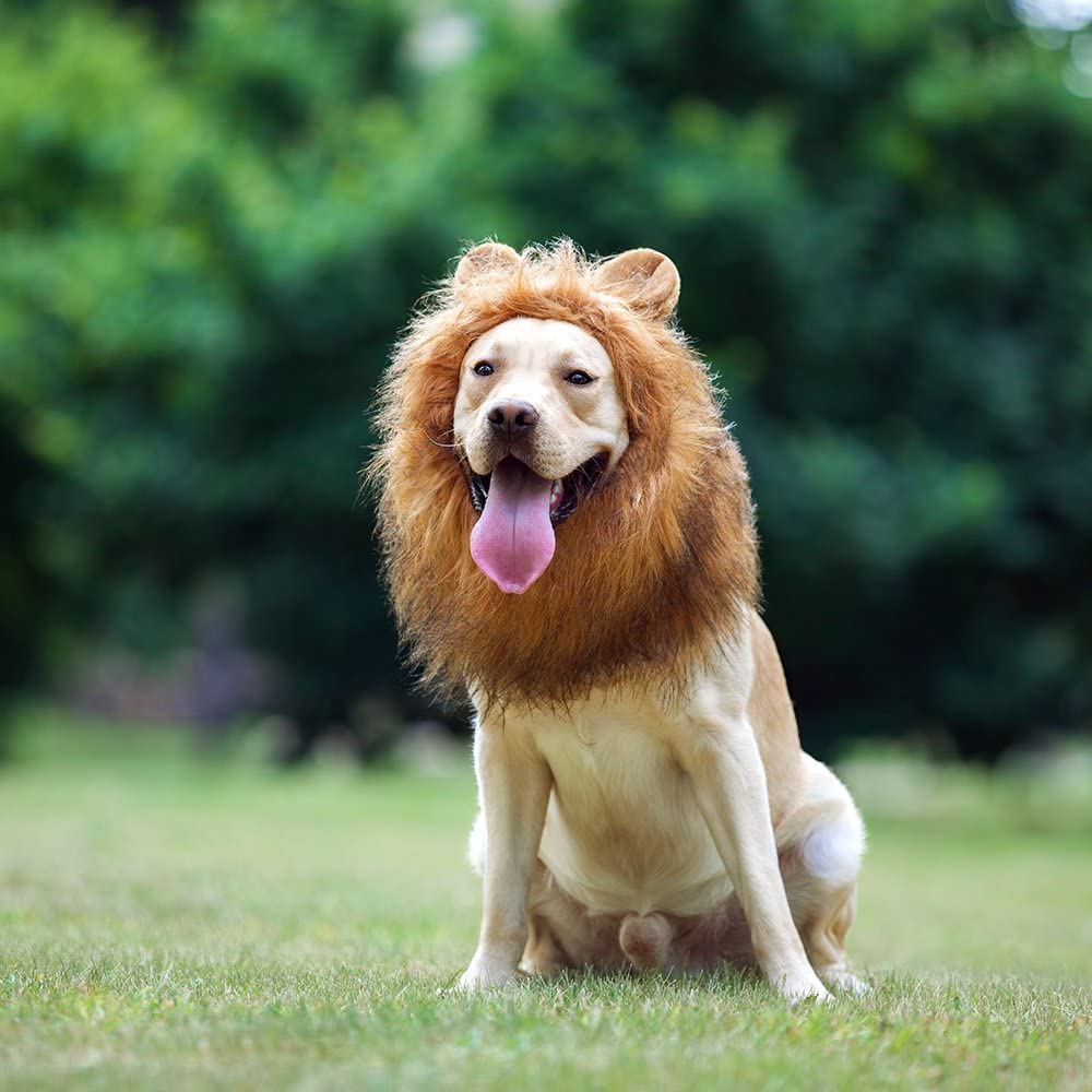 Realistic and Interesting Dog Lion Mane Dog Wigs Suitable for Medium and Large Dogs Lion Mane Wigs