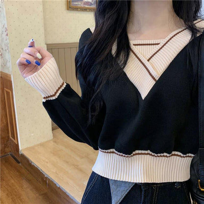 Temperament Short Knit Sweater Women's Spring and Autumn Long-sleeved Sweater Design Niche V-neck Blouse Comfortable Stretch Slim Fit