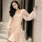 Nightclub Dress Fashion Sexy Slim Slim Wild Net Yarn Bubble Sleeve Temperament Dress Women