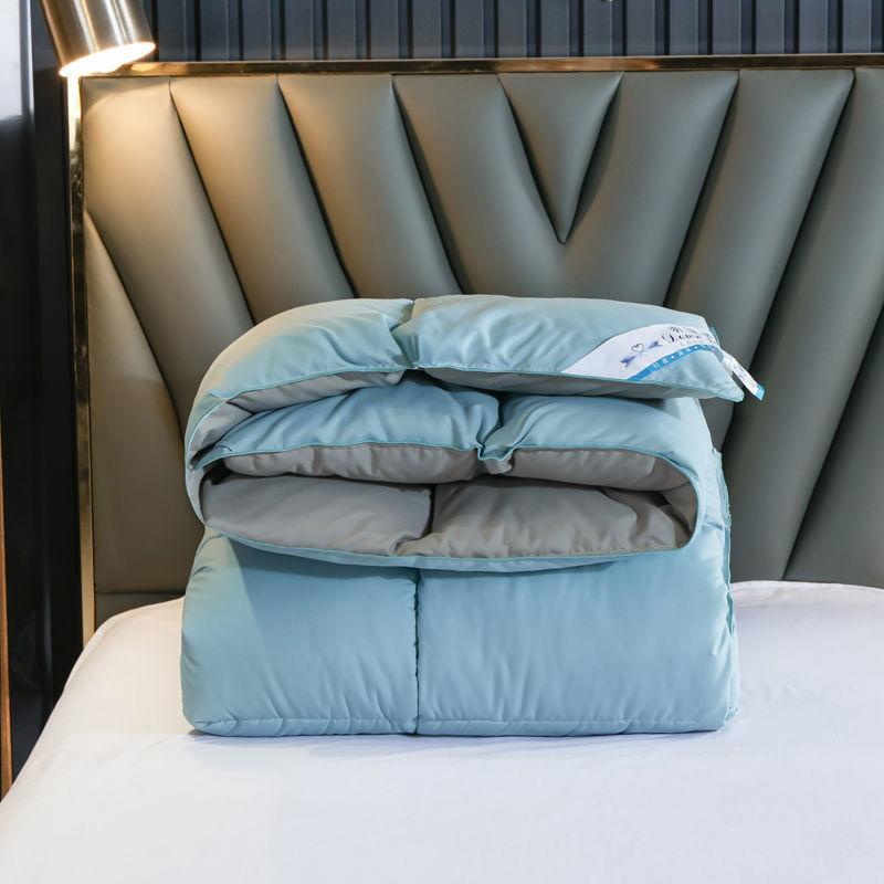 Genuine Winter Duvet White Goose Down Thickened Warm Winter Quilt Clearance Duck Down Air-conditioning Quilt Core