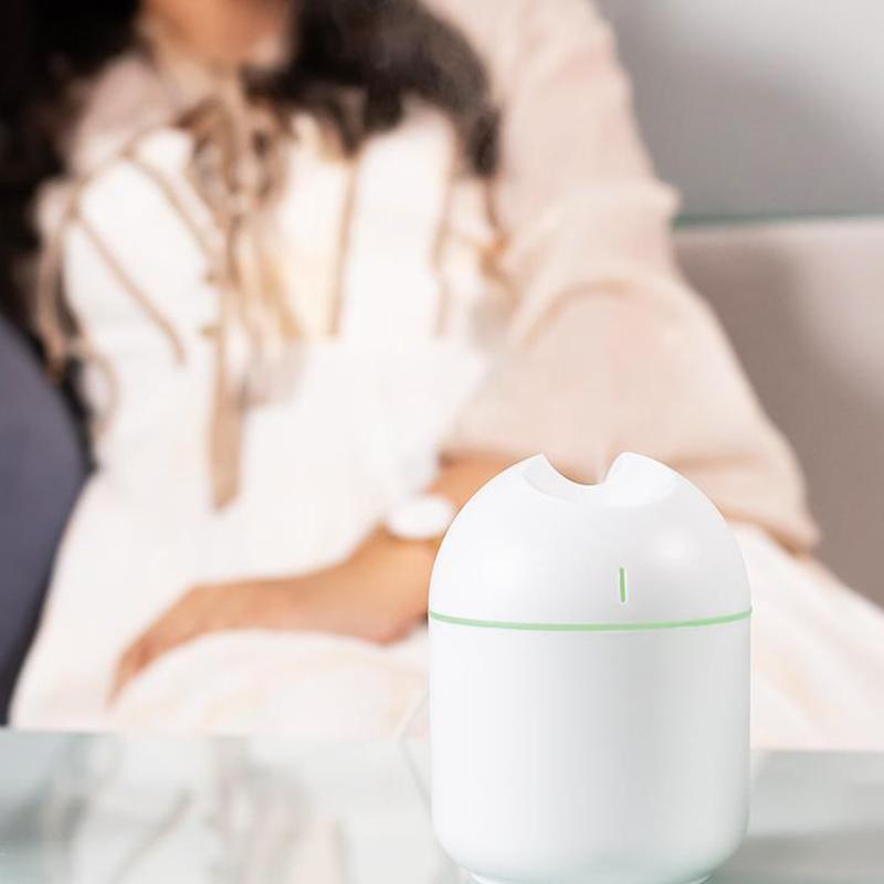 250ml Indoor Air Humidifier USB Electric Sprayer Mute Aroma Diffuser Portable Air Purifier
