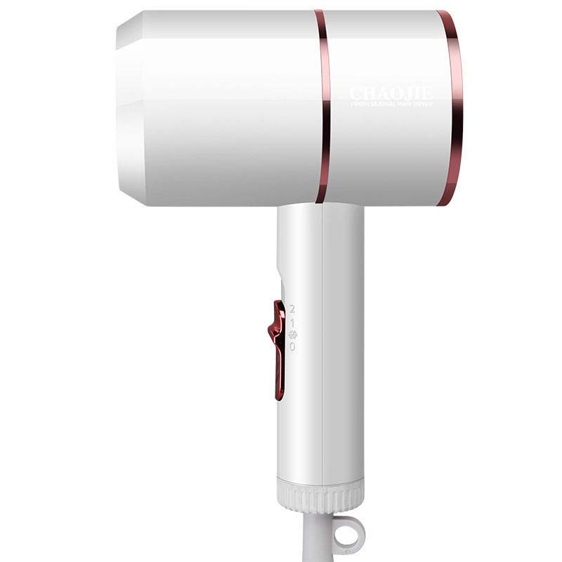 Constant Temperature Negative Ion Hair Dryer for Hair Care Professional Quick-drying 2000W Mini Household Professional Hair Dryer